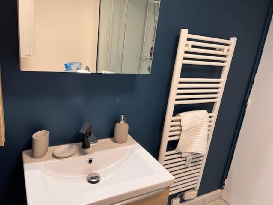 Appartement Calme Entre Ville Et Circuit Le Mans Ngoại thất bức ảnh
